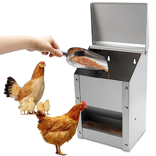 MOGOULUA Alimentador automático de pollo de 4,5 kg, de acero inoxidable, con cuchara, dispensador de alimentos, comedero para gallinas, patos, aves de corral, comedero de pollo al aire libre