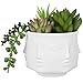 MyGift 4-Inch White Ceramic Guanyin Multi-Face Succulent Planter Vase