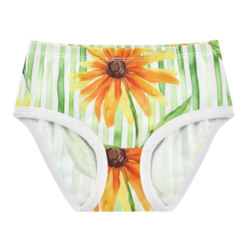 Green Stripes Orange Flowers Little Girl Panties Toddler Underwear Floral Cotton Funny Briefs Kids Undies 2t