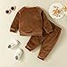 Baby Fleece Animal Sweatsuit 2Pcs Kids Girls Cute Print Pullover Shaggy Jogging Set Infant Fall (Brown, 18-24 Months)