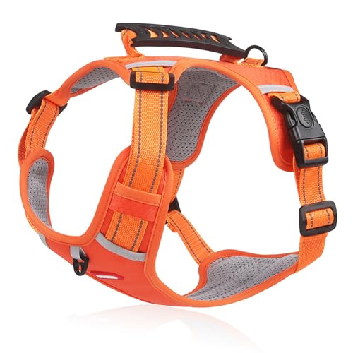 pn[lX STCYΉ h~ C[W[EH[N ^?^ ̎\tgn[lX ֑ ˋ@\ Obvt KU