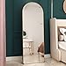 AnwickNomo Arched Floor Mirror, Full Length Mirror with Hanging Standing or Leaning, Full Body Mirror, 65