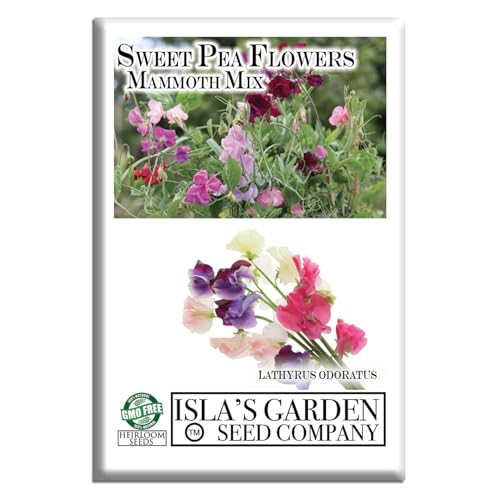 “Mammoth Mix” Sweet Pea Flower Seeds (Lathyrus odoratus) – 25+ Non-GMO Heirloom Seeds by Isla’s Garden Seeds, Fragrant, Long-Stemmed Blooms in a Rainbow of Colors, Cutting Gardens, Trellises & Fences