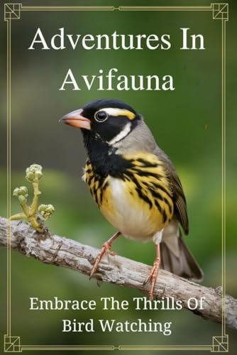 Adventures In Avifauna: Embrace The Thrills Of Bird Watching
