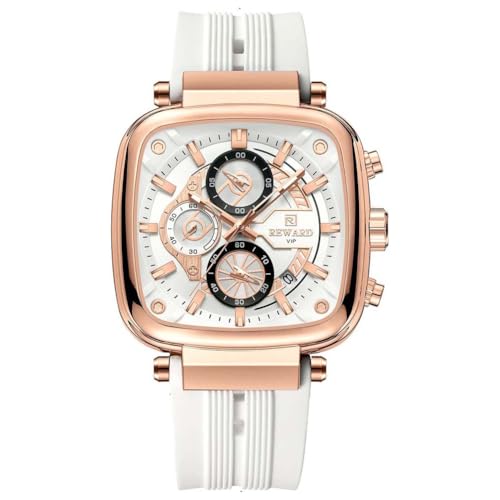 Montre Homme REWARD 831509M Quartz en Acier Inoxydable avec Cadran Chronographe