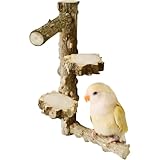 La La Pet Natural Wood Bird Perch Stand Parrot Standing Platform Detachable DIY Parakeet Perch Toy for Bird Cage Decor Multi Branch for 4pcs Parrots