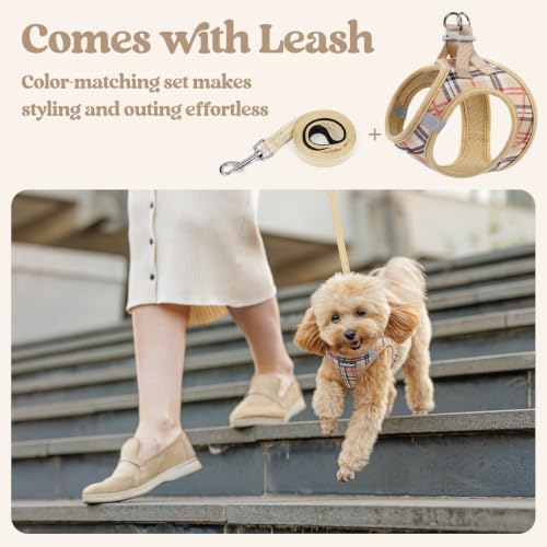 Image of rabbitgoo Dog Harness Small Sized and Leash Set, Step-in Puppy Pet Vest