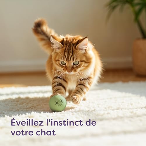 Balles pour Chats avec Clochettes - 4 Balles en Laine - Jouets pour Chats Durables Aux Couleurs Vives & Au Doux Son - Sac De Rangement Inclus – Image 3