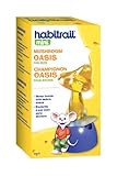 Habitrail Mini Mushroom Water Dish