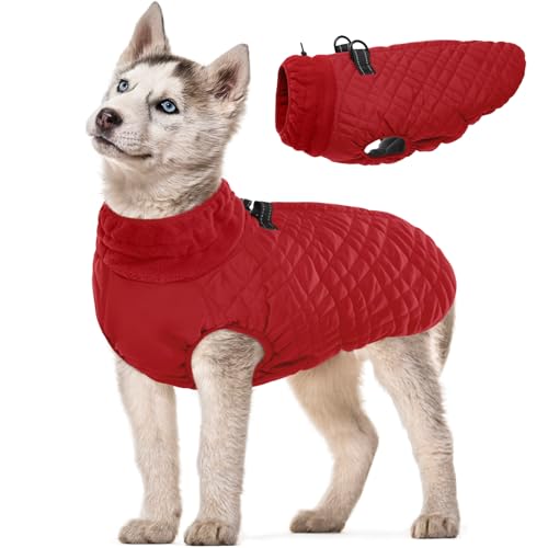 Kuoser Dog Jacket, Warm Dog Coat with Harness Built in for Small Dogs, Puppy Winter Jacket Pet Clothes for Cold Weather, Windproof Doggie Winter Vest for Pug Dachshund, Red M M (Chest Girth: