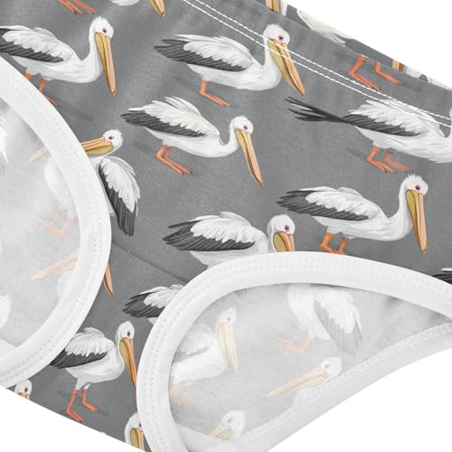Girls Underwear Soft Cotton Pelicans Kids Panties in Sizes 2/3t, 4t, 5t, 6 and 84