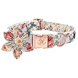Picture of Little Tail Elegant Vintage Floral Dog Collar, Comfortable Adjustable for Small, Medium, Large Dogs