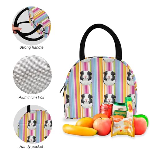 Guinea Pig Stripe Print Backpack Set with Lunch Bag, Large Capacity Travel Backpacks and Lunch Box Insulated for Commute Hiking Picnic4