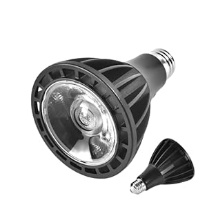 Generisch Vollspektrum Pflanzenlampe Birne