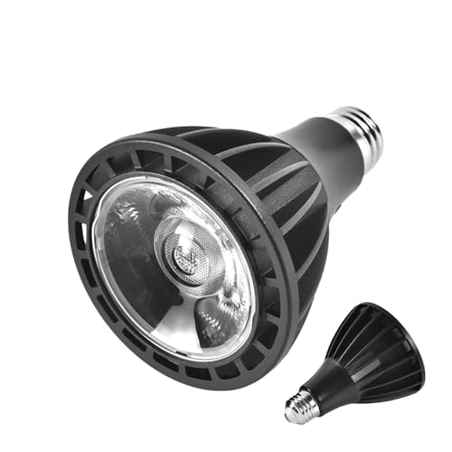 Lampe de croissance pour sauver vos plantes grasses du manque de lumière