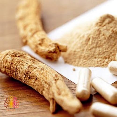 Ginseng em Pó Premium | Importado | Linha Especial Ca.Nuts (500g)