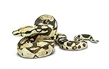 Safari Ltd. Boa Constrictor XL Realistic Hand Painted Toy Figurine Model Quality Construction from...