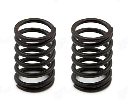 Valve Springs Compatible with Honda HRC7013 HRC7018 ZHRC7020 HRC7113 H2013 H2113 H4013 HA4118 HA4120 H5013 RT5000 H1011R H3011 H3013H HT-R3009 HT-R3811