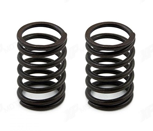 Sellerocity Brand Valve Springs Compatible with Most Honda GX120 GX160