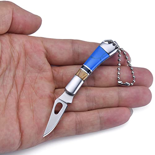 JPCRMOV Mini Klappmesser Messer Gewicht 22 g, Superleicht Taschenmesser mit Schlüsselanhänger, klein Camping Survival Outdoor Messer EDC Knife Steinartefakt Griff Blau (Clip Point)