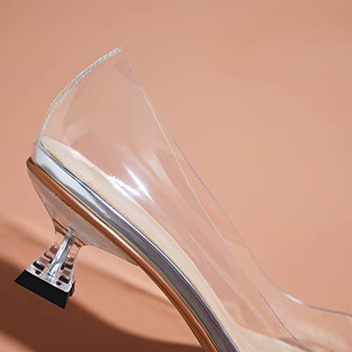 LEHOOR Women Clear Slip On Pumps Kitten Heel Round Closed Toe Sandals 1 Inch Low Heel Summer Transparent PVC Trendy Wedding Party Dress Shoes Size 4-9.5 M US3