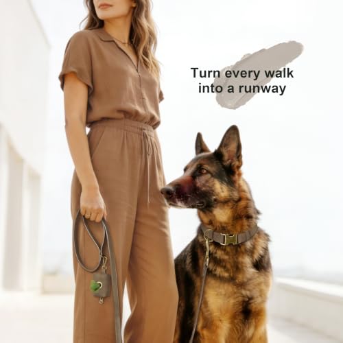 Image of Didog Soft PU Leather Dog Collar for Large Dogs, Quick Release, Brown XL
