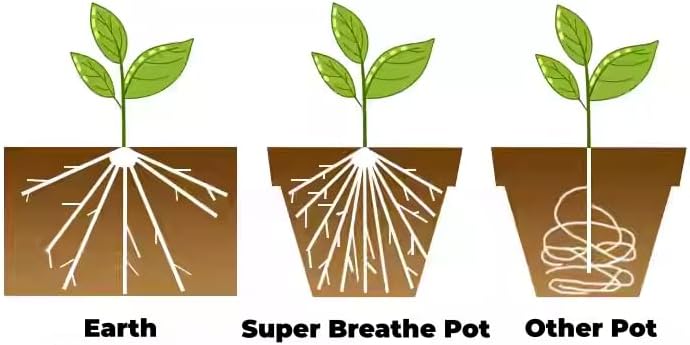 Miniatura 6 de Leaf & Living Extreme-Breathe - Macetas con platillo, juego de 5, maceta cuadrada de 6 pulgadas, drenaje lateral extra, base elevada, ideal para