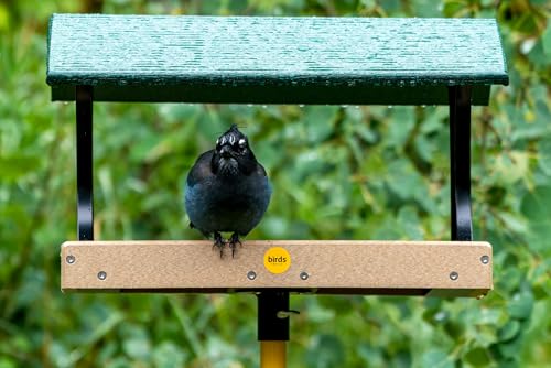 Birds Choice 18X12 Fly-Through Platform4