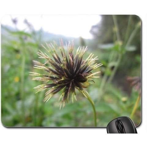 Price comparison product image black dandelion Mouse Pad
