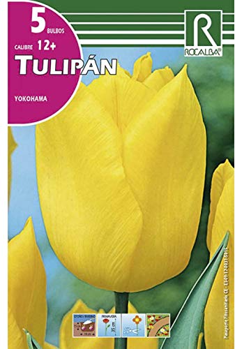 BULBO DE OTOÑO TULIPÁN AMARILLO YOKOHAMA - 5 UD