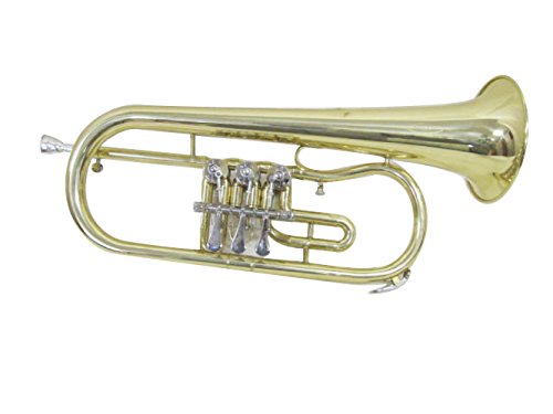 Amazon.co.jp: Behning & Sons フリューゲルホーン (ロータリー
