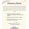 Teeccino Chicory Coffee Alternative Mocha Ground Herbal Coffee Thats Prebiotic, Caffeine-Free & Acid Free, Medium Roast, 11 Ounce (Pack of 2)
