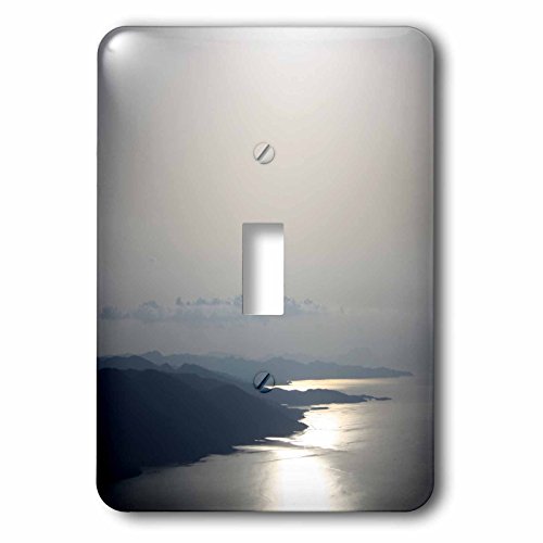 Interrupteur à bascule 3dRose lsp_214068_1 gris argenté simple commande d'éclairage intérieur