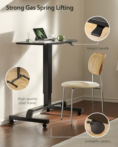 Image of WALKINGDESK Height Adjustable Mobile Standing Desk with 360 Swivel Casters, 29 inch-45 inch Pneumatic Rolling Desk on Wheels, Perfect for Home Office, Bedroom, Living Room, Black