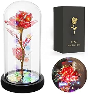 JUSTOYOU Rose Gifts for Women,Mothers,Wife Gifts,Colorful Artificial Rose Flower Gifts for Women,Forever in Glass Dome,Rainbow Rose Flower for Birthday,Christmas Mothers Day Decorations(Red)