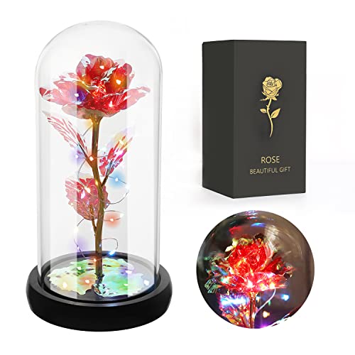 JUSTOYOU Lady Rosa Regalo, Madre, Esposa Regalo, Arco Iris Rosa Flor de cumpleaños, Decoraciones de Navidad para el día de la Madre (Rojo) Cover