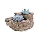 - Die Landschaft Blumentopf mit Kunsthandwerk provids kreative und Frische in Ihrem Haus, Büro-und Gartendekoration.
