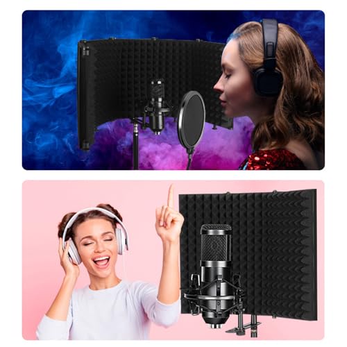 Écran anti-bruit studio portable pour éliminer l'écho en streaming en direct
