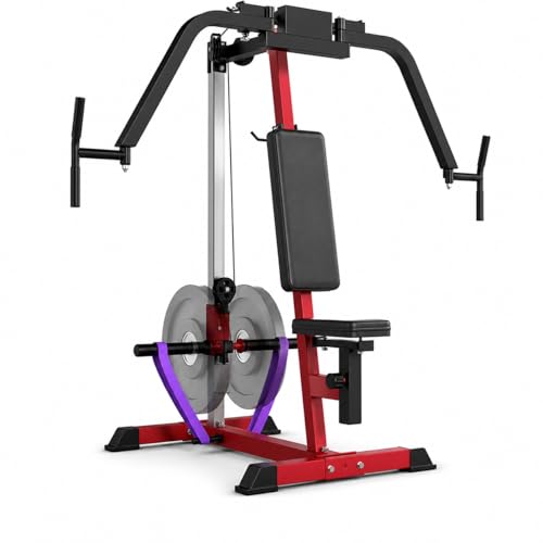 PEC Deck & Reverse Delt Machine