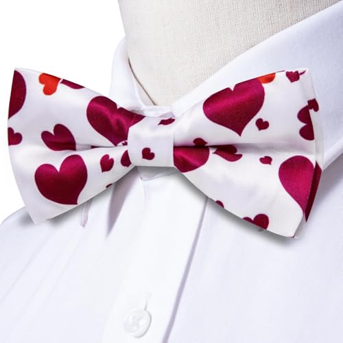 Image of Dubulle Mens Paisley Striped Bowtie Set Pre-tied Bowtie for Men and Pocket Square Set Wedding Business