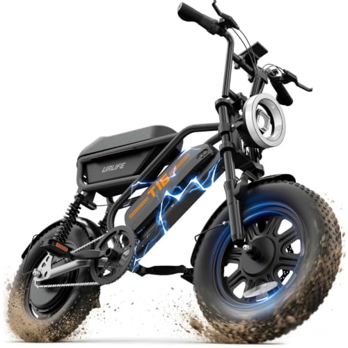 URLIFE 1000W Electric Dirt Bike