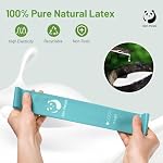 Slim Panda Resistance Bands, Set of 5 Skin-Friendly Resistance Loop Exercise Bands with 5 Strengths for Physical Therapy, Yoga, Pilates, Strength Training, Home Fitness & Gym - Carrying Case Included