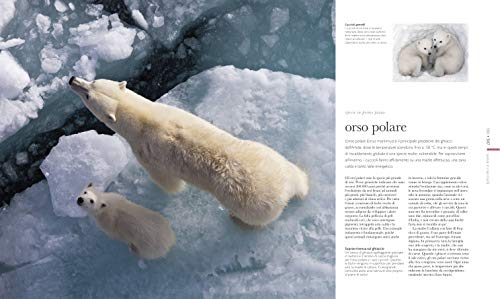 Fauna. Il Regno Animale Visto Da Vicino. Ediz. Illustrata - 12