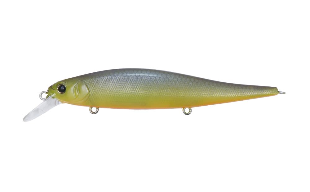 Amazon.co.jp: ボトムアップ バスルアー フランジャー PL031BUテーブル