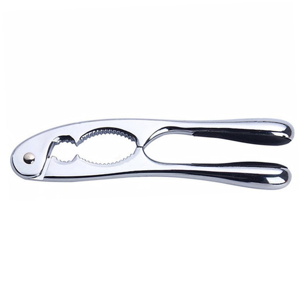 Ouvre-Noix Portable De Casse-Noix Ergonomique Outil De Cuisine Et Compact Accessoire Pratique pour Amateurs De Fruits à Coque