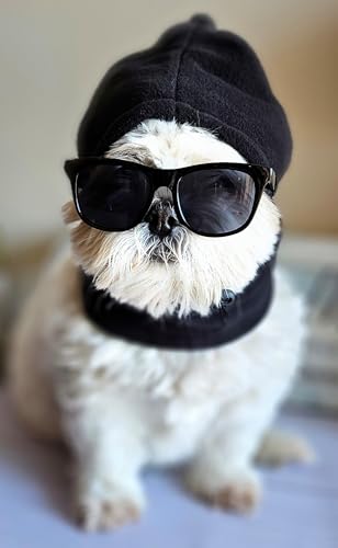 Disfraz set retro para perro pequeño a mediano miniatura 5