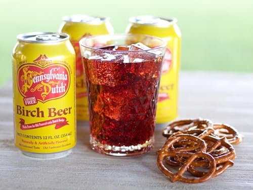 AmishTastes PA Dutch Birch Beer, Protected With High-Density Foam, 12 Oz. (Case of 24)