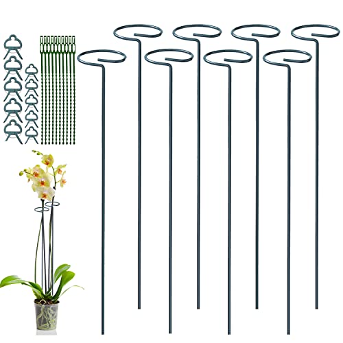 Set Di Supporti Per Piante 10/20/30x Pali Per Fiori