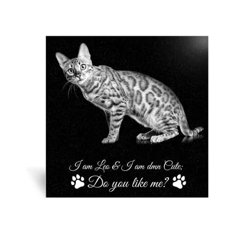 ADFSTONE Pet Memorial Stones Personalized Dog Remembrance Gifts, Customized Cat Picture Grieving Plaque, DIY Gravestone, Custom Sympathy Photo Gift, Animal Grave Markers Cover