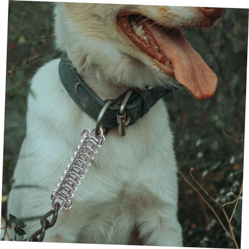 Laisse éducative pour chiens de absorption des chocs ressort